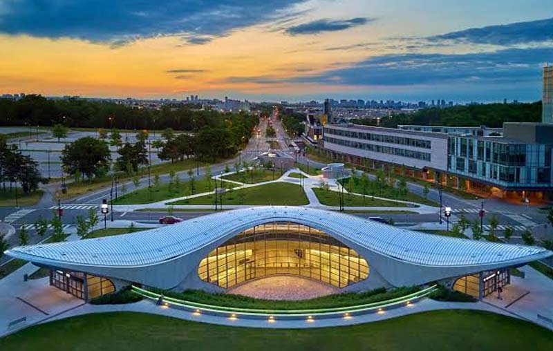 York University